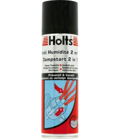 Anti-humidité 2en1 HOLTS 300ml (aérosol)